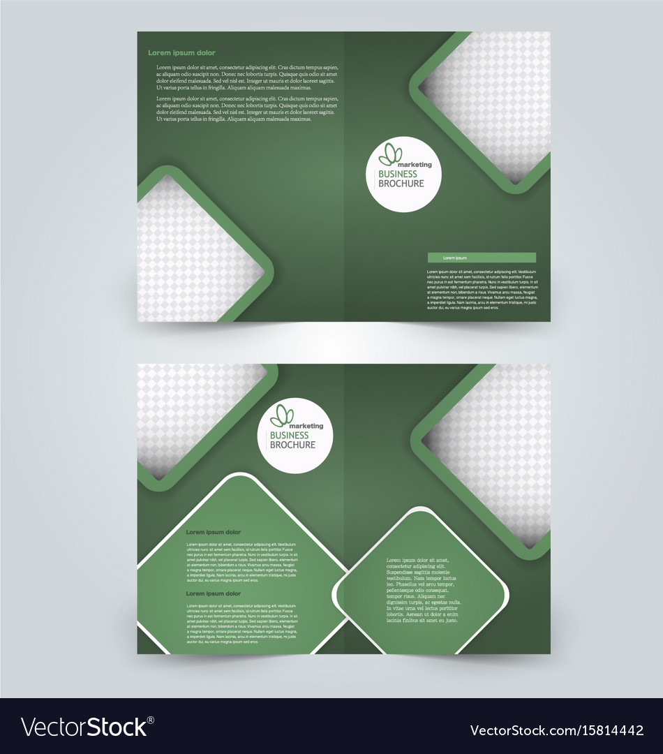 two page fold brochure template design royalty free vector