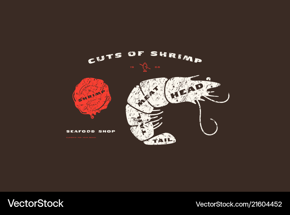 Stock shrimp cuts diagram in flat style Royalty Free Vector