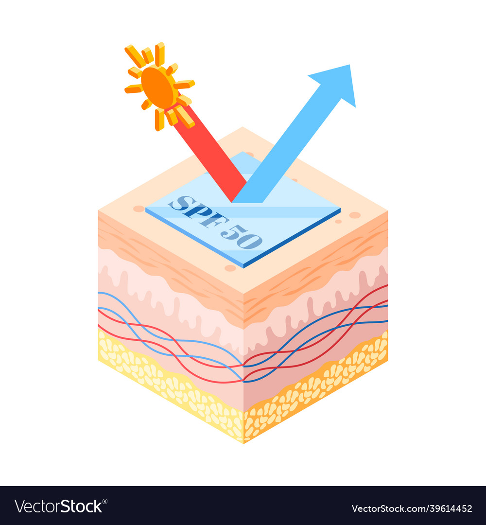 Suncreen Isometric Icon Royalty Free Vector Image