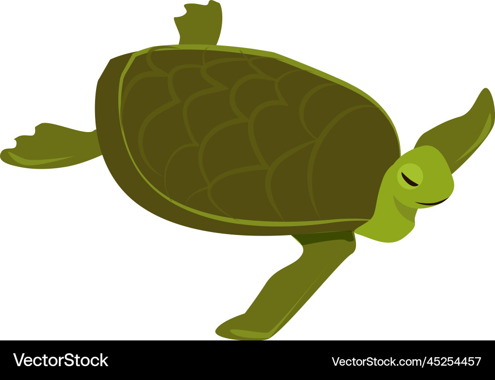 Isometric tortoise icon Royalty Free Vector Image