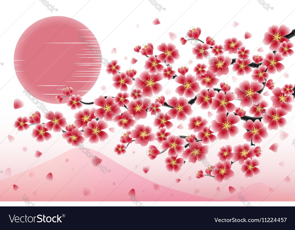 Japan cherry branch Royalty Free Vector Image - VectorStock