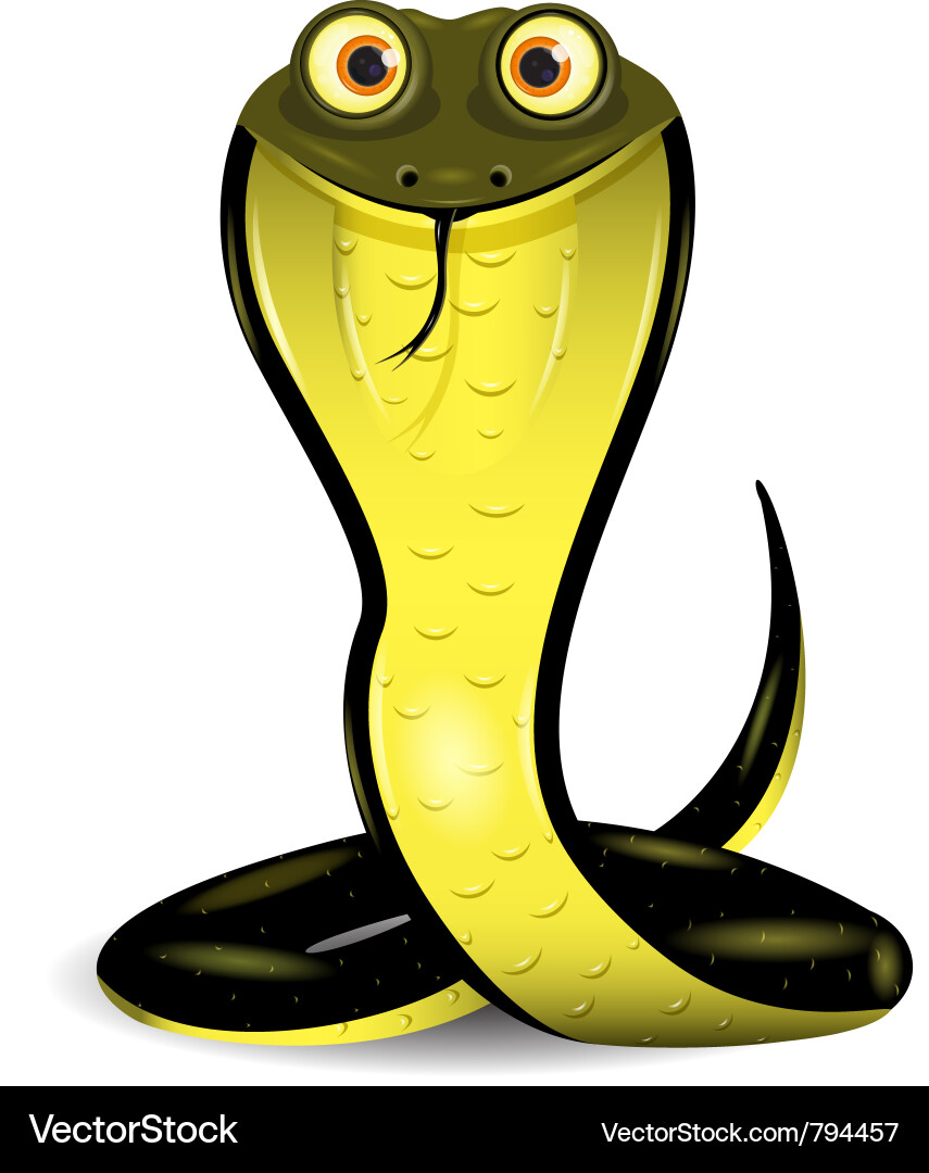 Snake Royalty Free Vector Image - VectorStock