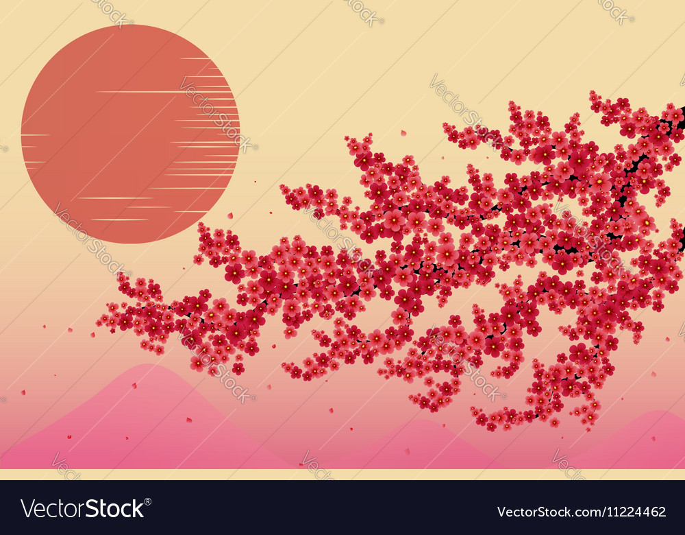 Japan Cherry Branch Royalty Free Vector Image - Vectorstock