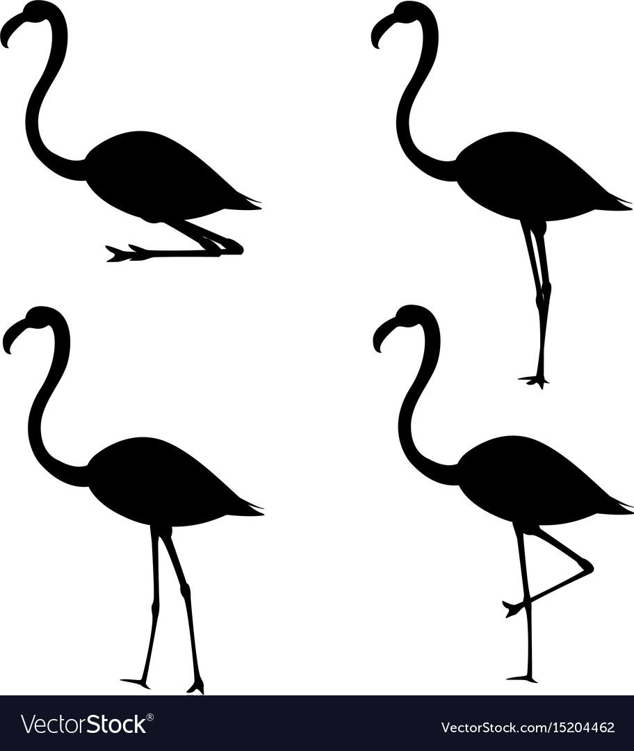 Set of silhouettes flamingo in different poses