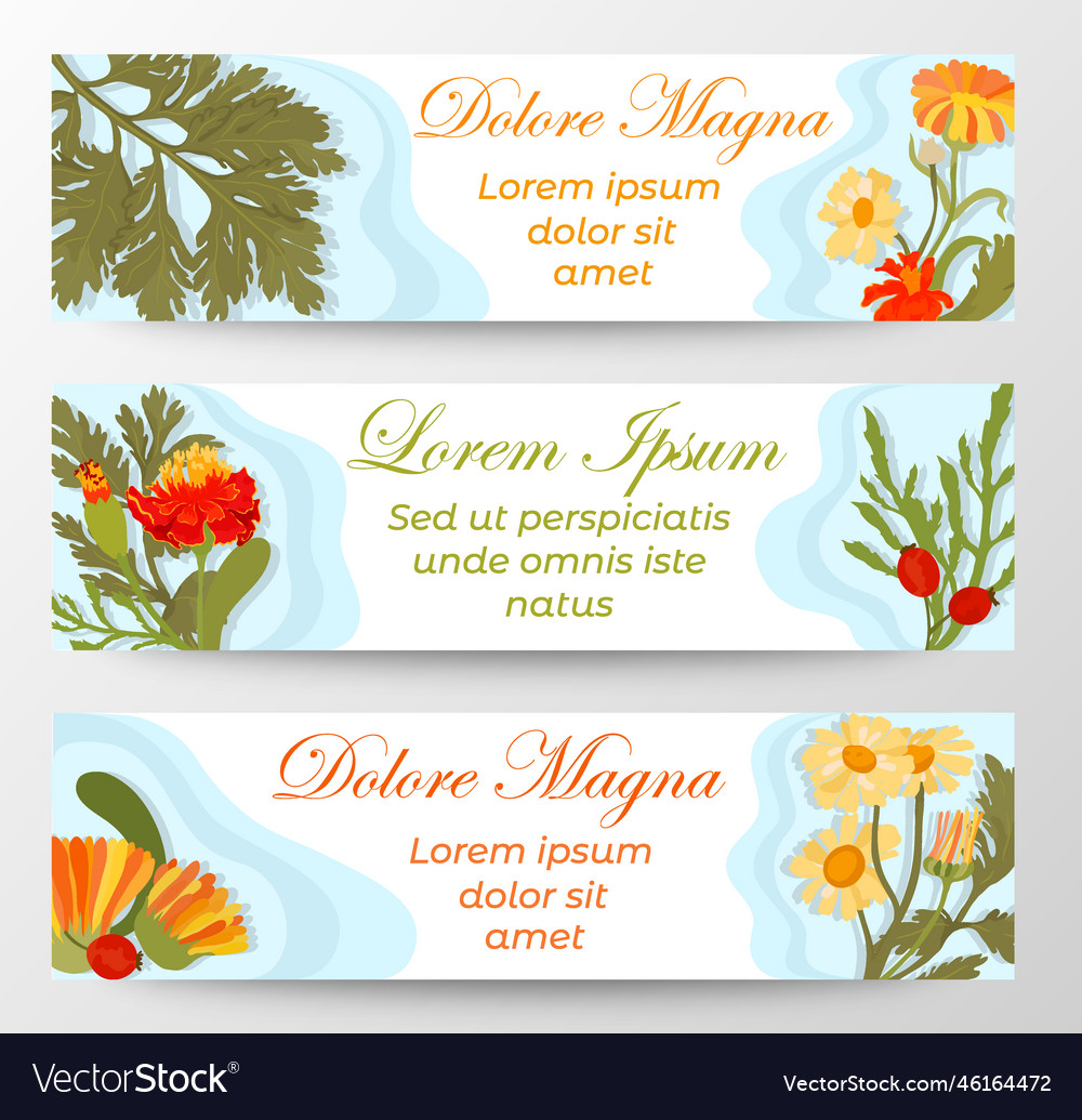 Banners with sample text and floral composition