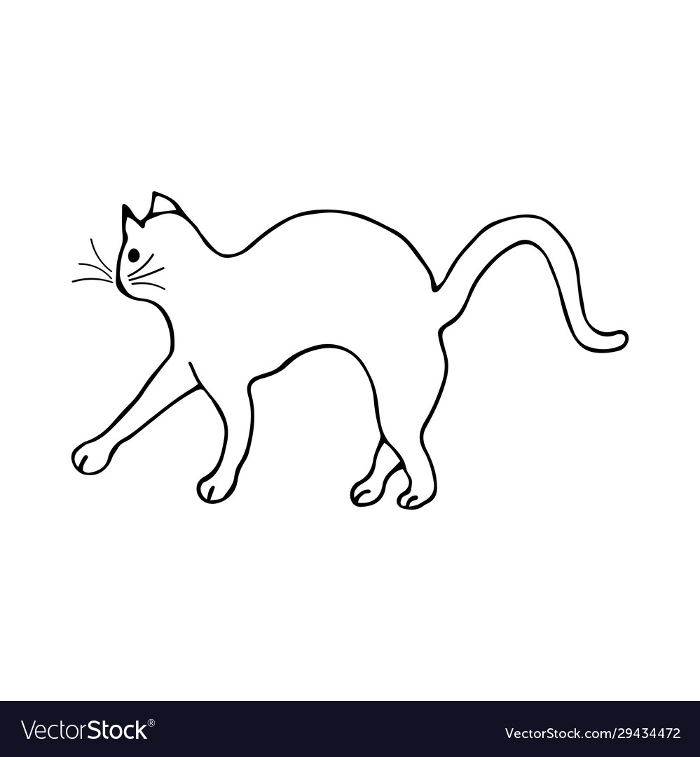 Doodle cat arched his back black and white Vector Image