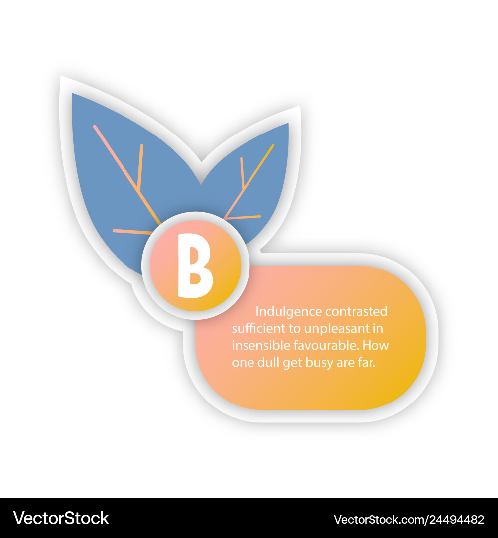 Abstract paper infographic internal and external Vector Image