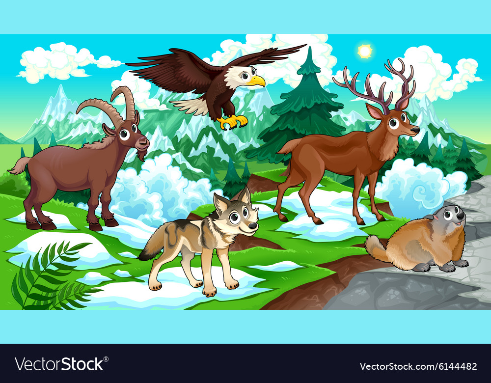 Mountain animals Royalty Free Vector Image - VectorStock Mountain animals Royalty Free Vector Image - VectorStock