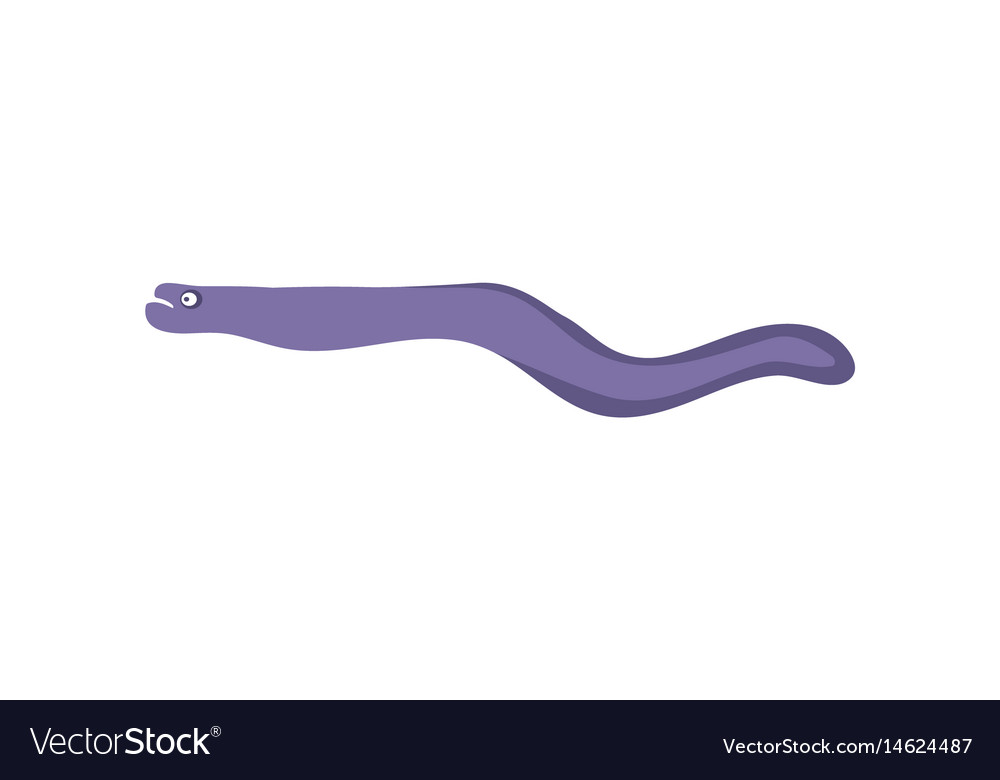 Ocean eel cartoon Royalty Free Vector Image - VectorStock