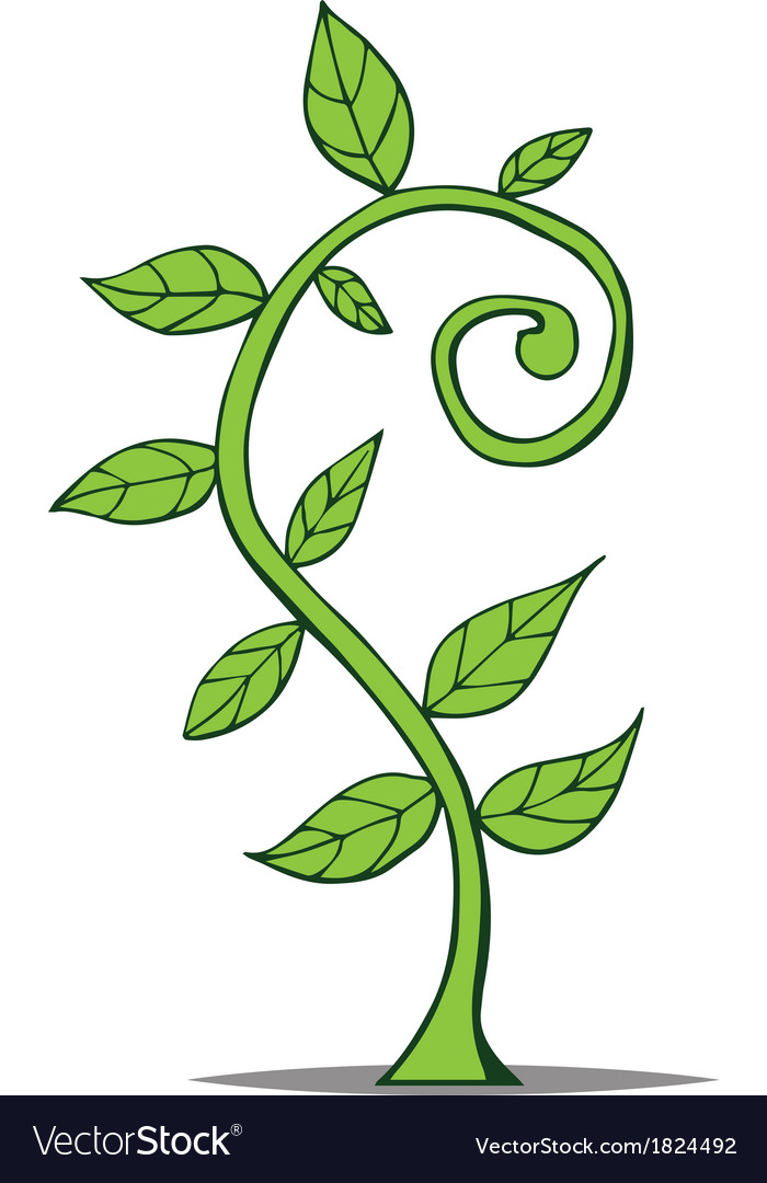 Little growing plant Royalty Free Vector Image