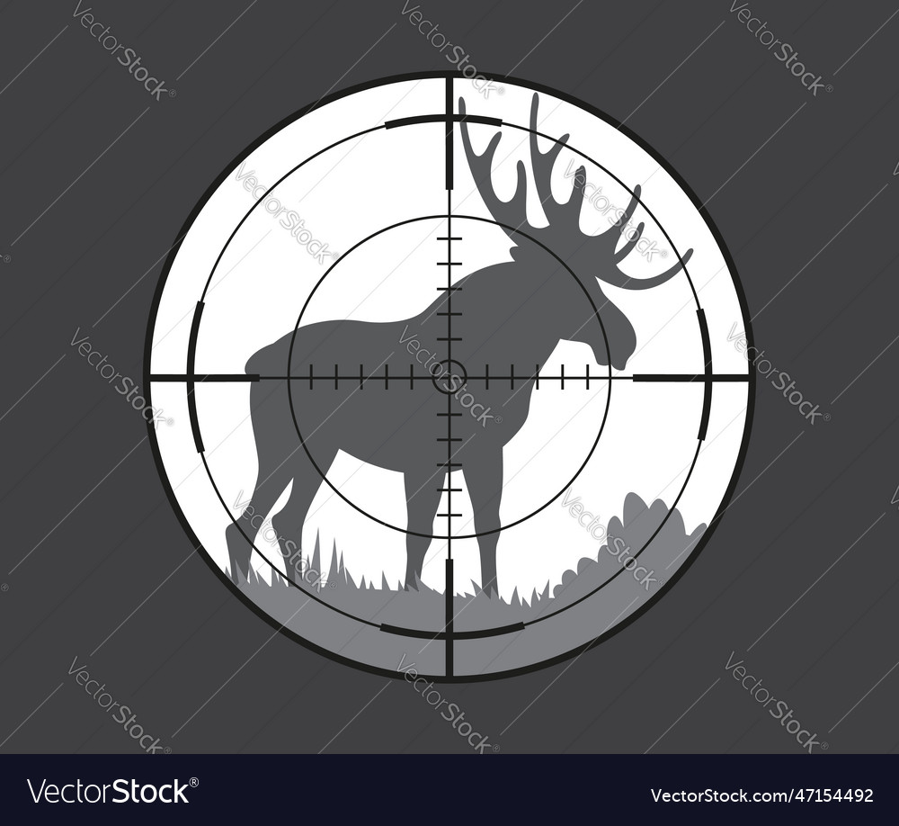 Moose or elk animal target hunting sport Vector Image