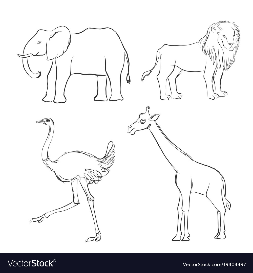 sketches of cartoon animals