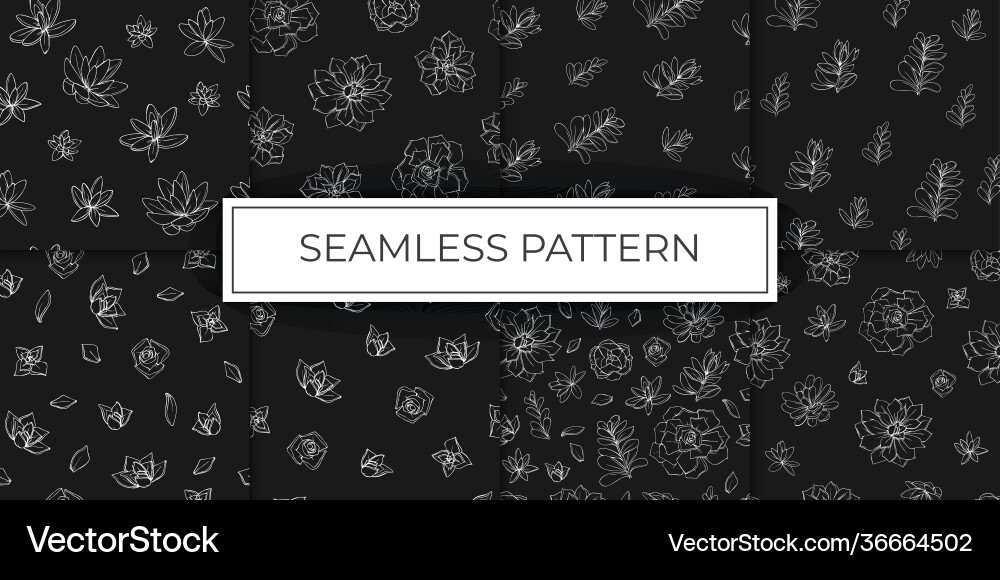 Collection seamless patterns flowers Royalty Free Vector