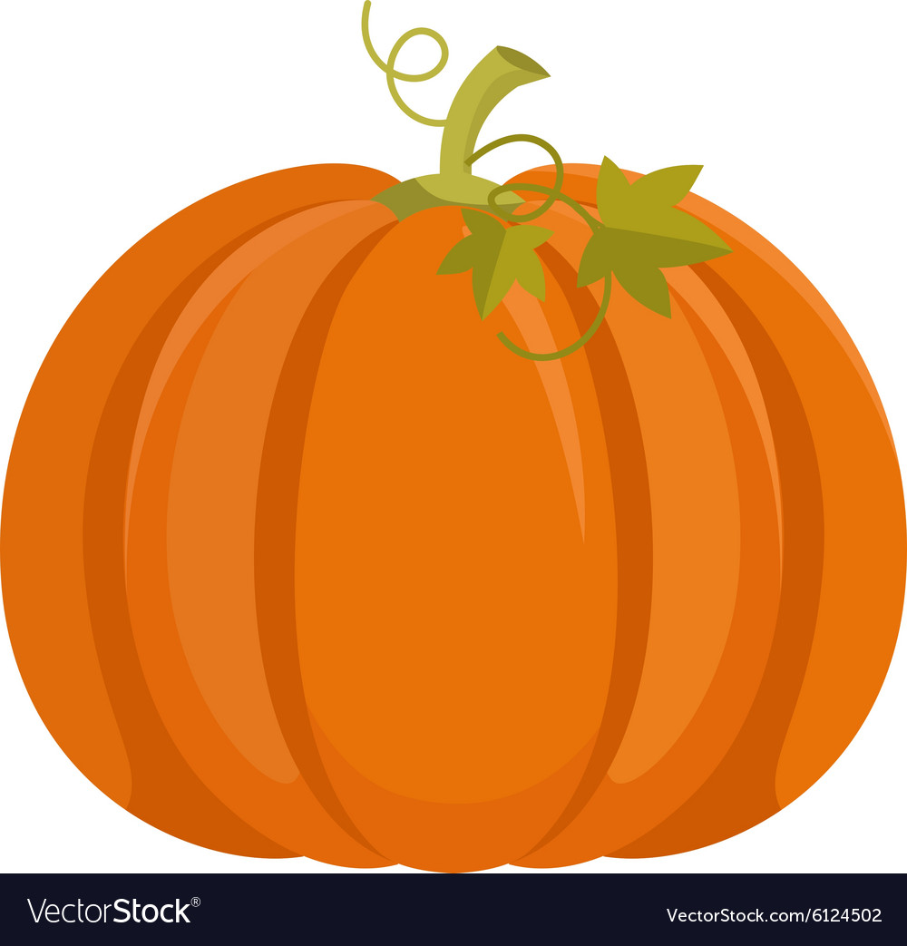 Pumpkin isolated on white background Royalty Free Vector