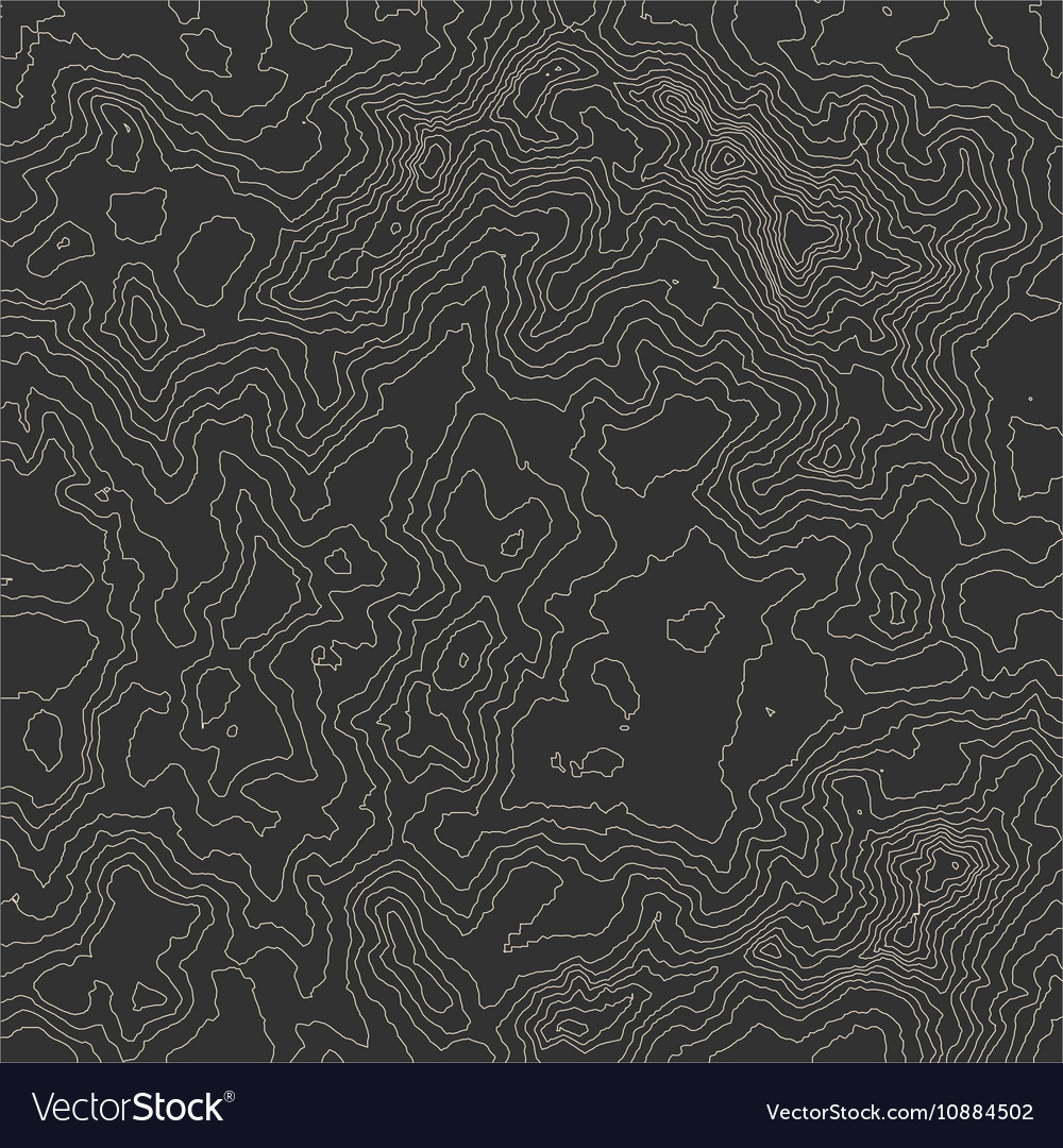 Topographic map background concept with space Vector Image