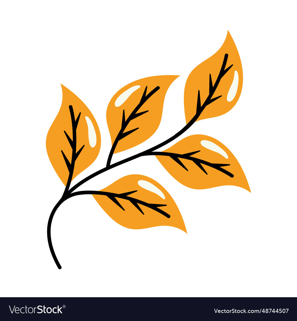 Autumn nature leaves Royalty Free Vector Image