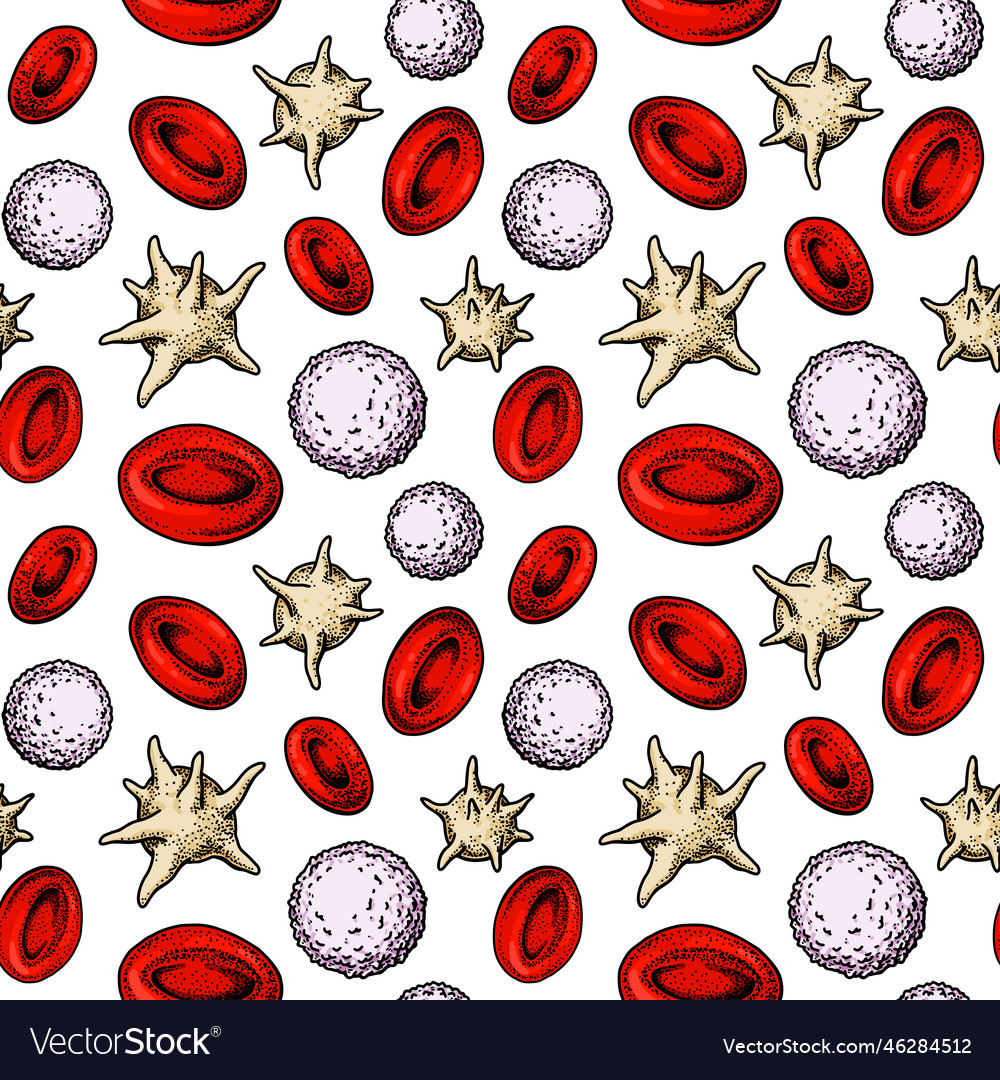 Blood cells seamless pattern hand drawn