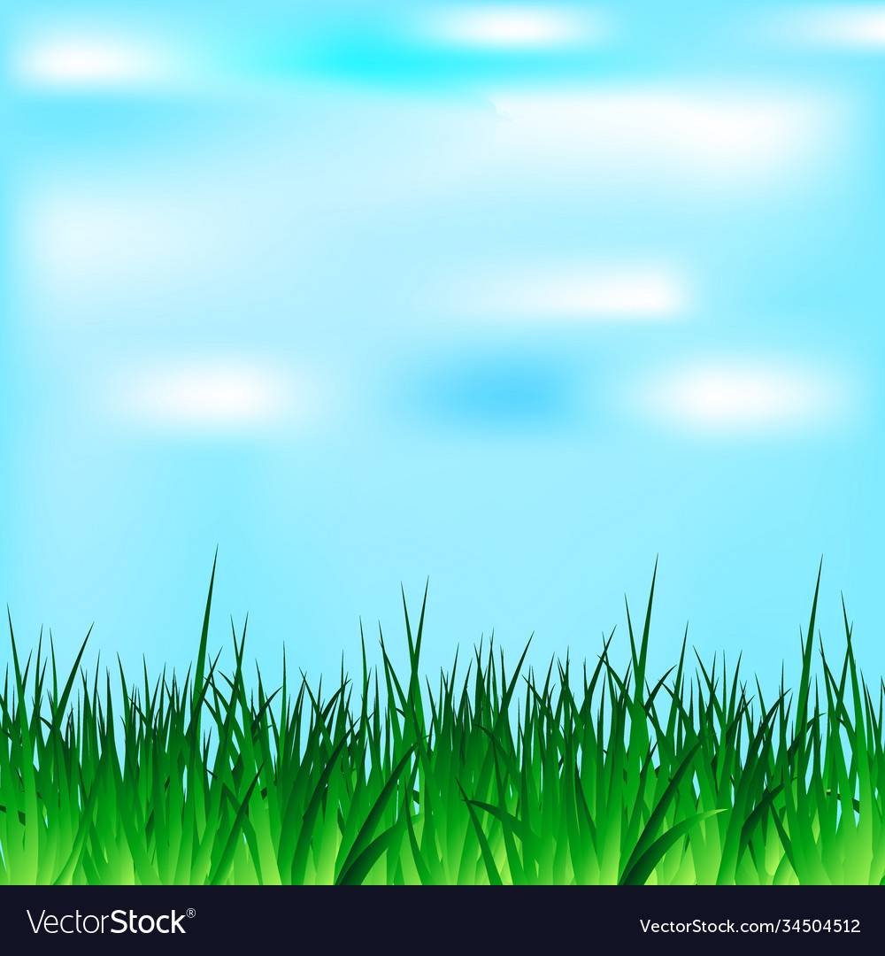 Summer and spring design with sunshine grass Vector Image