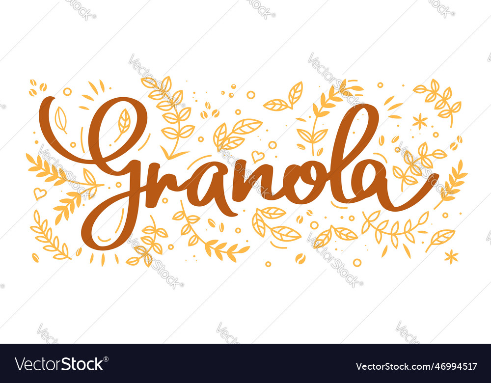 Granola cereal food label oatmeal or muesli food Vector Image