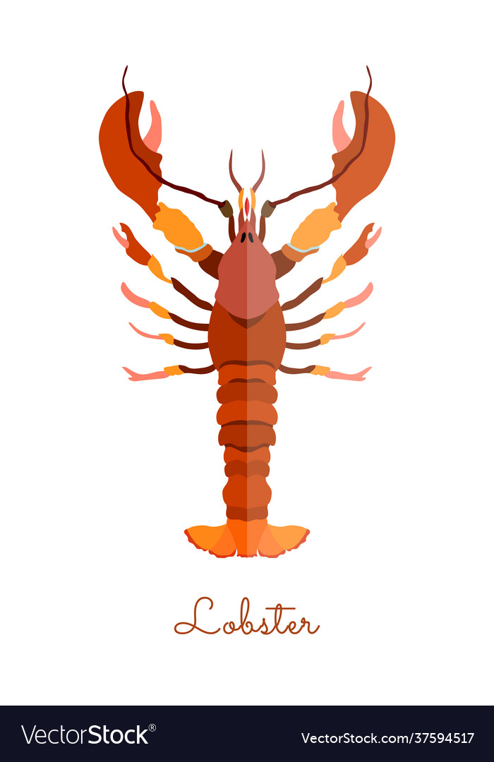 Single lobster in flat style isolated on white