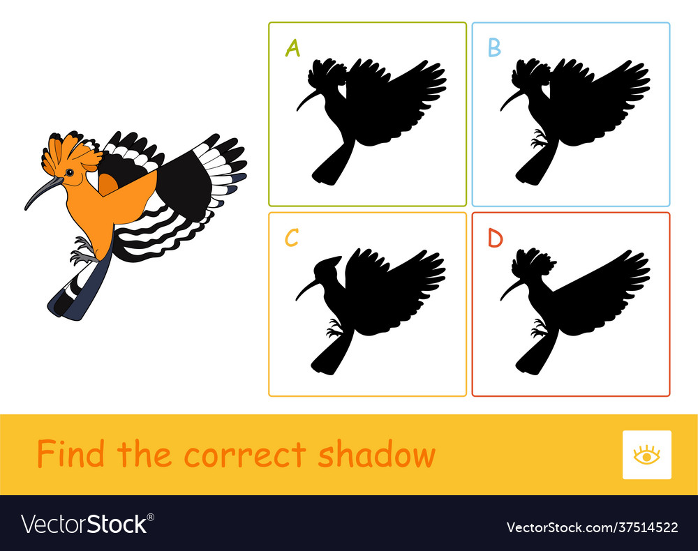 Find correct shadow game with a hoopoe Royalty Free Vector