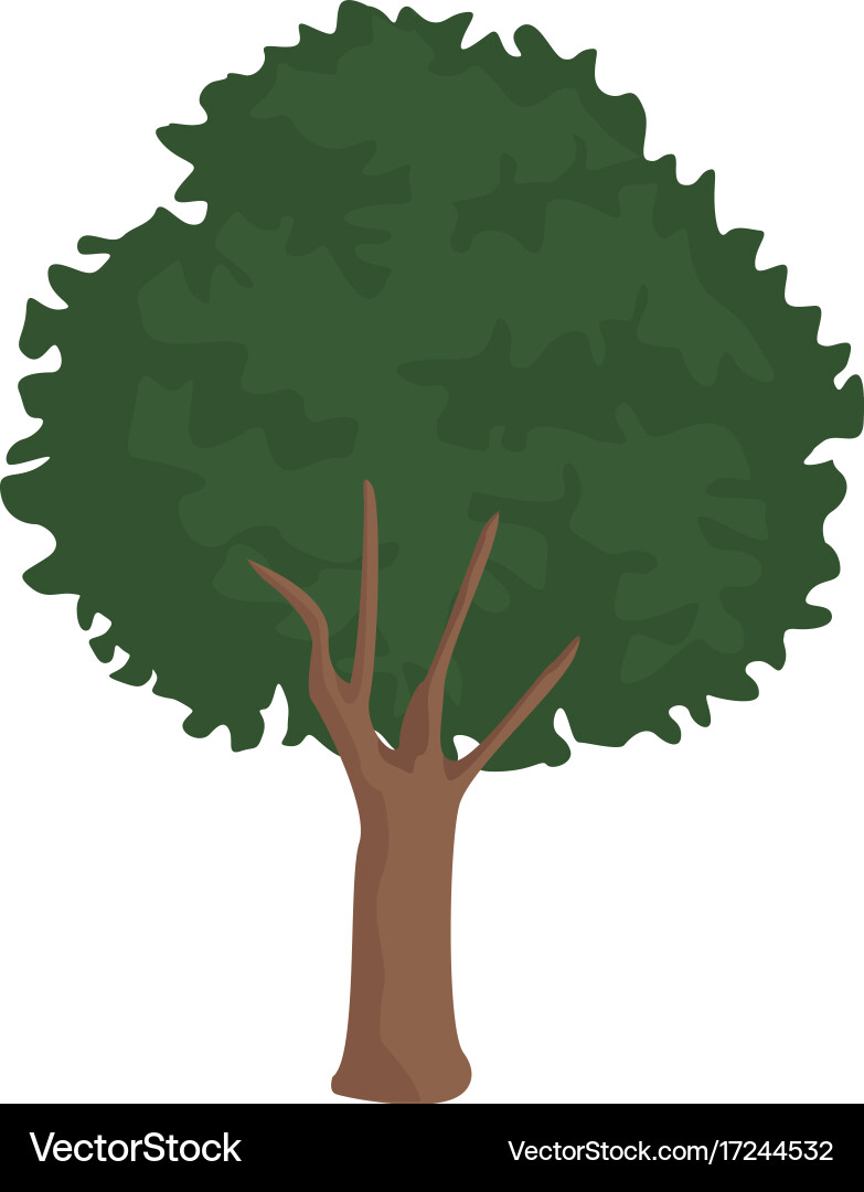 Tree nature isolated Royalty Free Vector Image