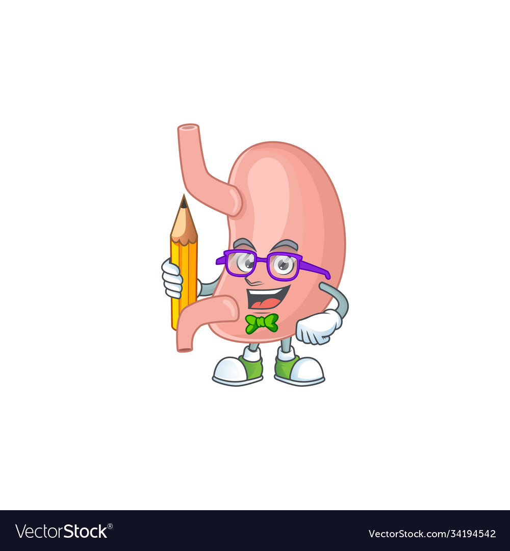 Stomach student character studying with pencil