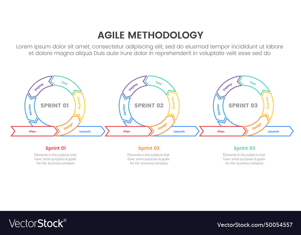 Agile sdlc methodology infographic 7 point stage Vector Image