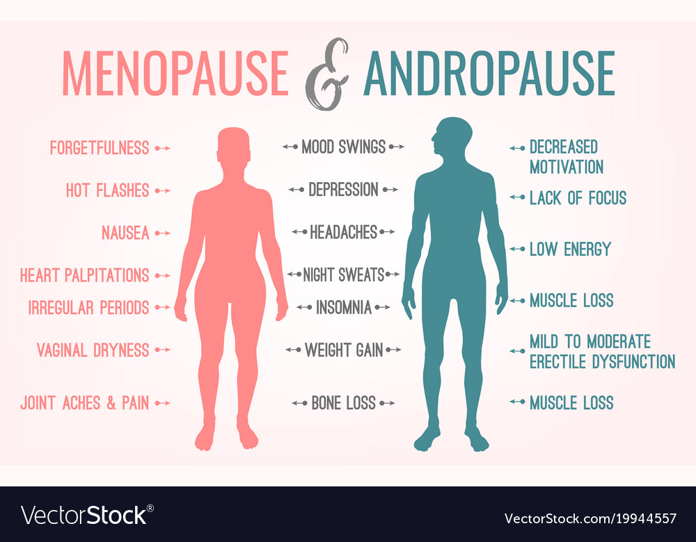 Menopause And Andropause Royalty Free Vector Image 