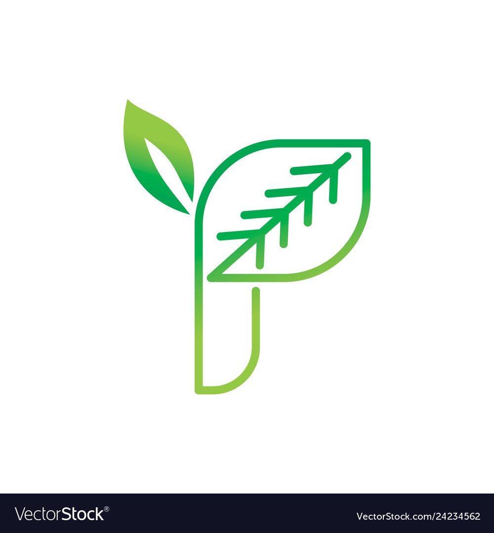 Leaf logo design template set