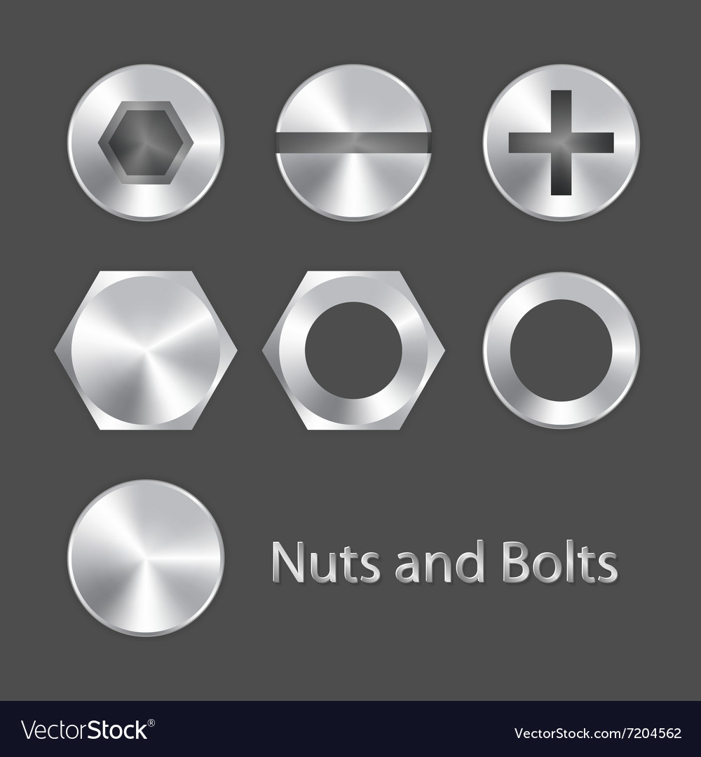 Nuts and bolts Royalty Free Vector Image VectorStock