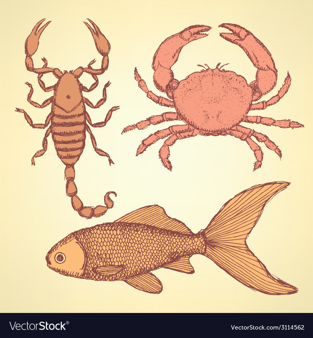 Sketch cute crab scorpion and fish Royalty Free Vector Image