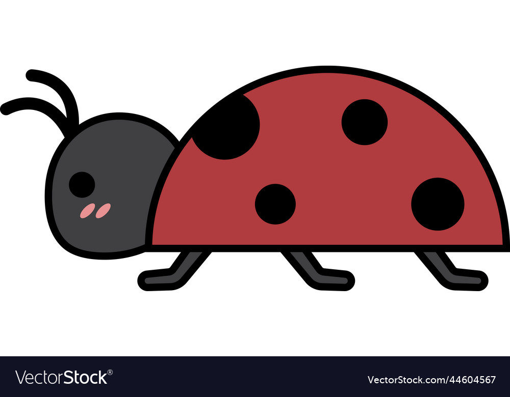 Ladybug PNG Transparent Images Free Download, Vector Files