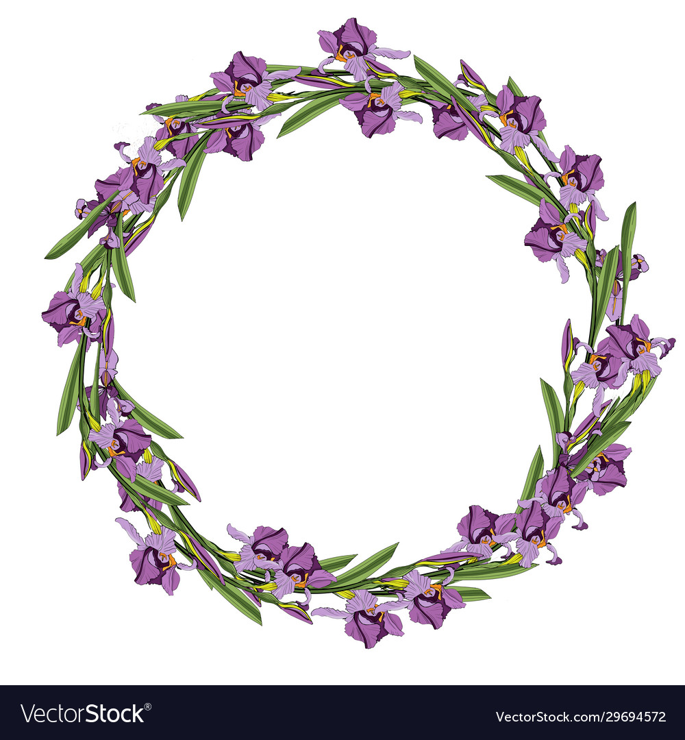 A wreath irises frame modern dynamic flat Vector Image