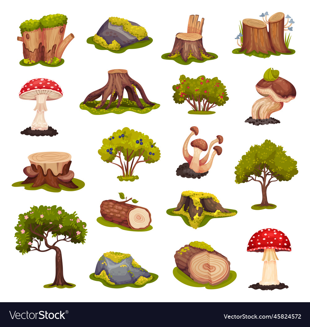 Forest objects with tree stump bush mushroom