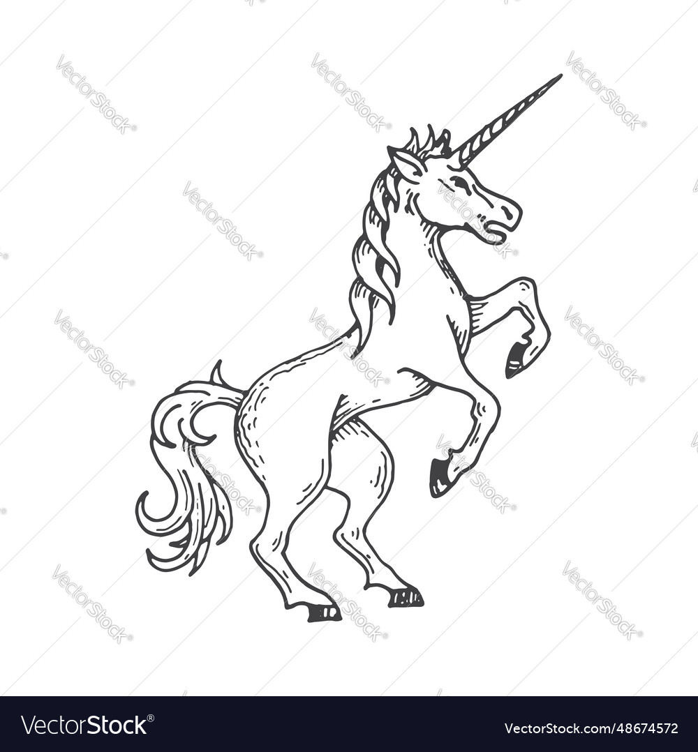 Unicorn medieval heraldic animal sketch symbol Vector Image