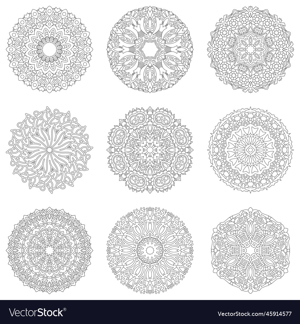 Circular pattern in form of mandala vector image Circular pattern in form of mandala