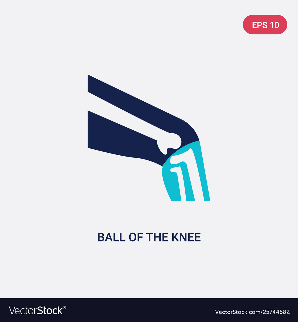 Two Color Ball Knee Icon From Human Body Vector Image