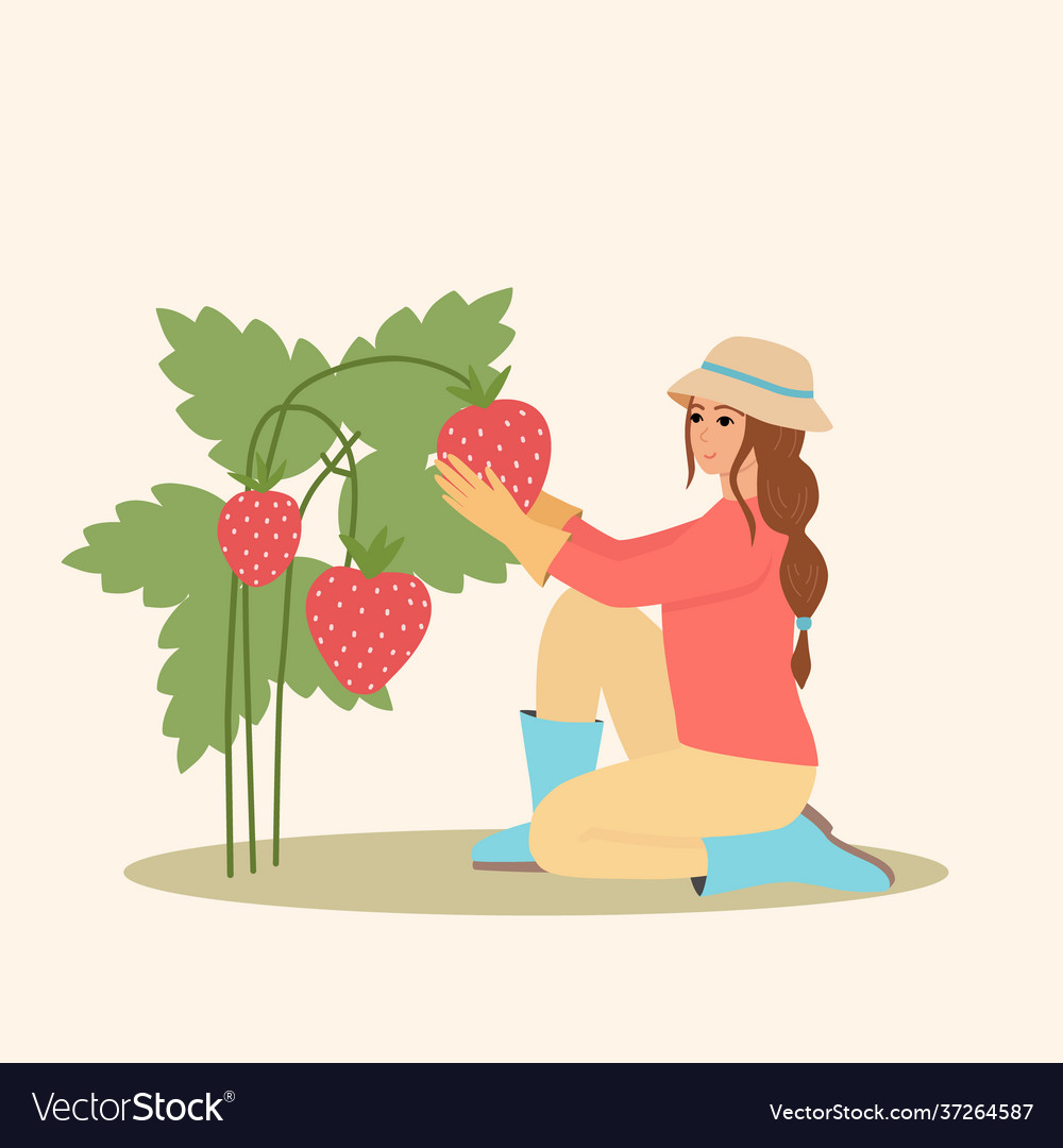 A girl in panama hat picks strawberries