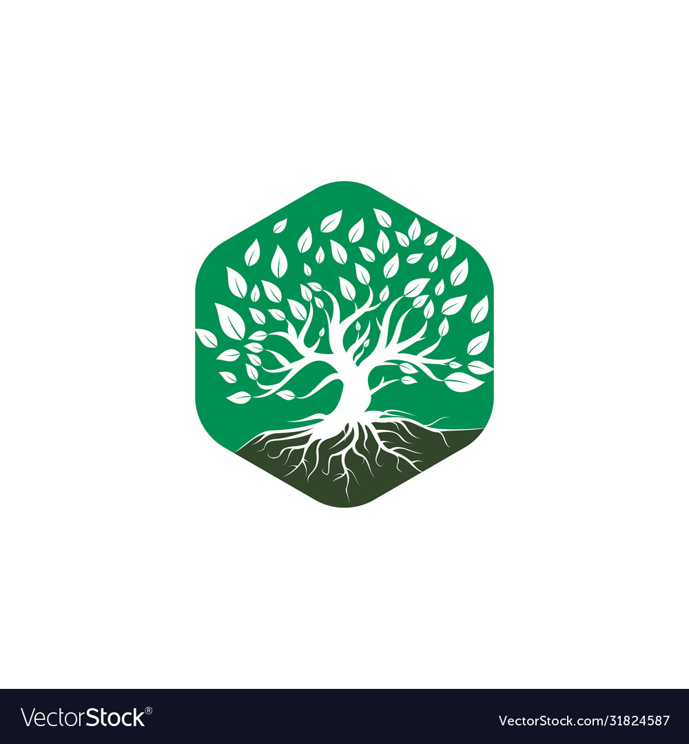 Tree Root Logo Design Royalty Free Vector Image