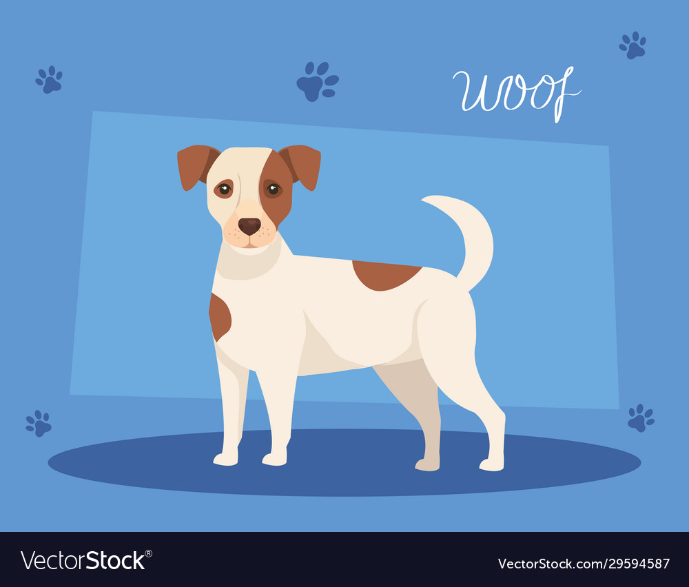 White dog with brown spotted in background Vector Image
