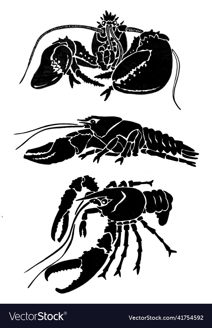 Graphical set of lobsters sea-food elements Vector Image