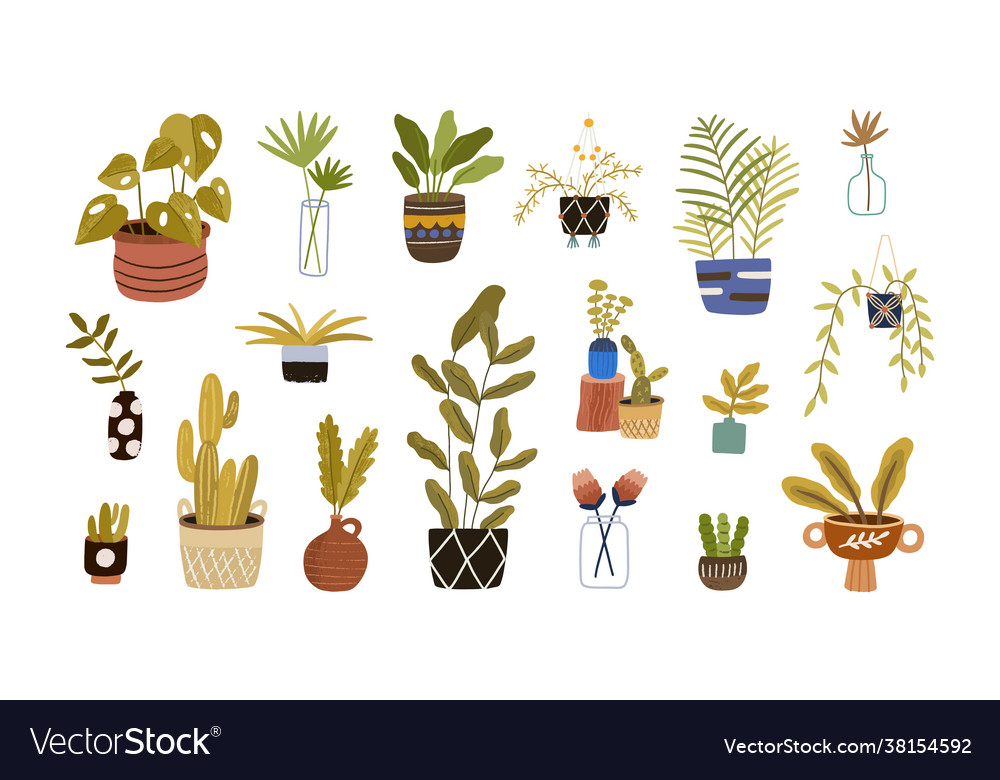 Set different foliage indoor plants for house Vector Image