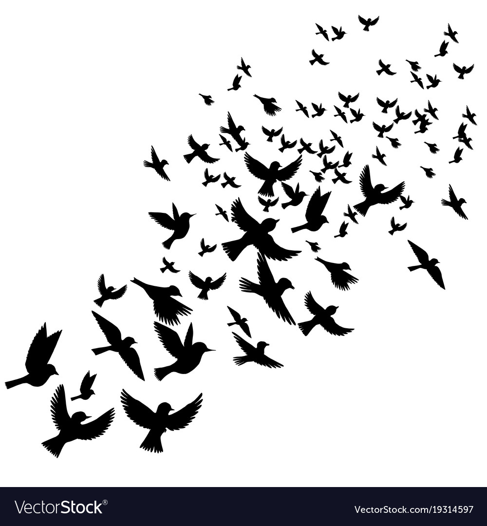 Free Vector Flying Birds Silhouette Images And Photos Finder