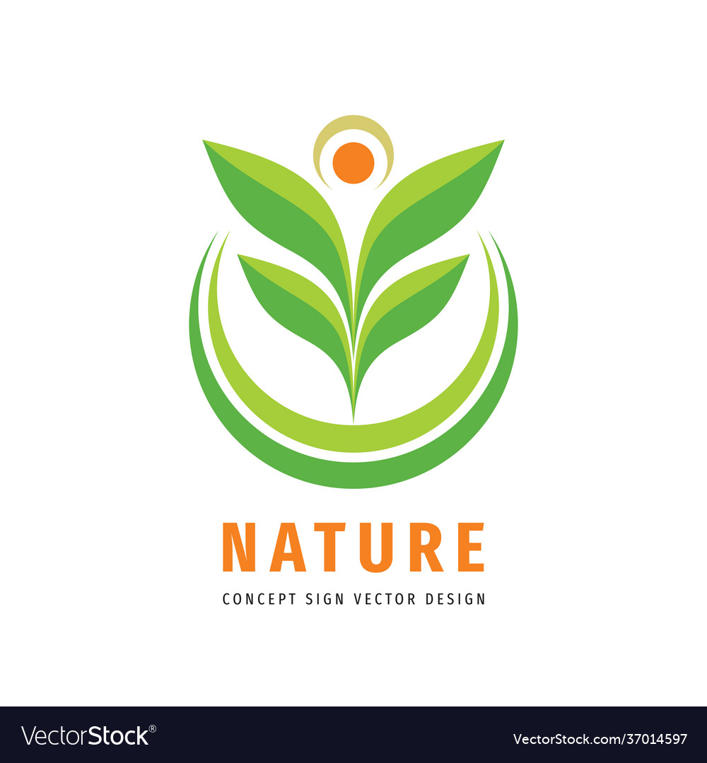 Nature leaves concept logo design development