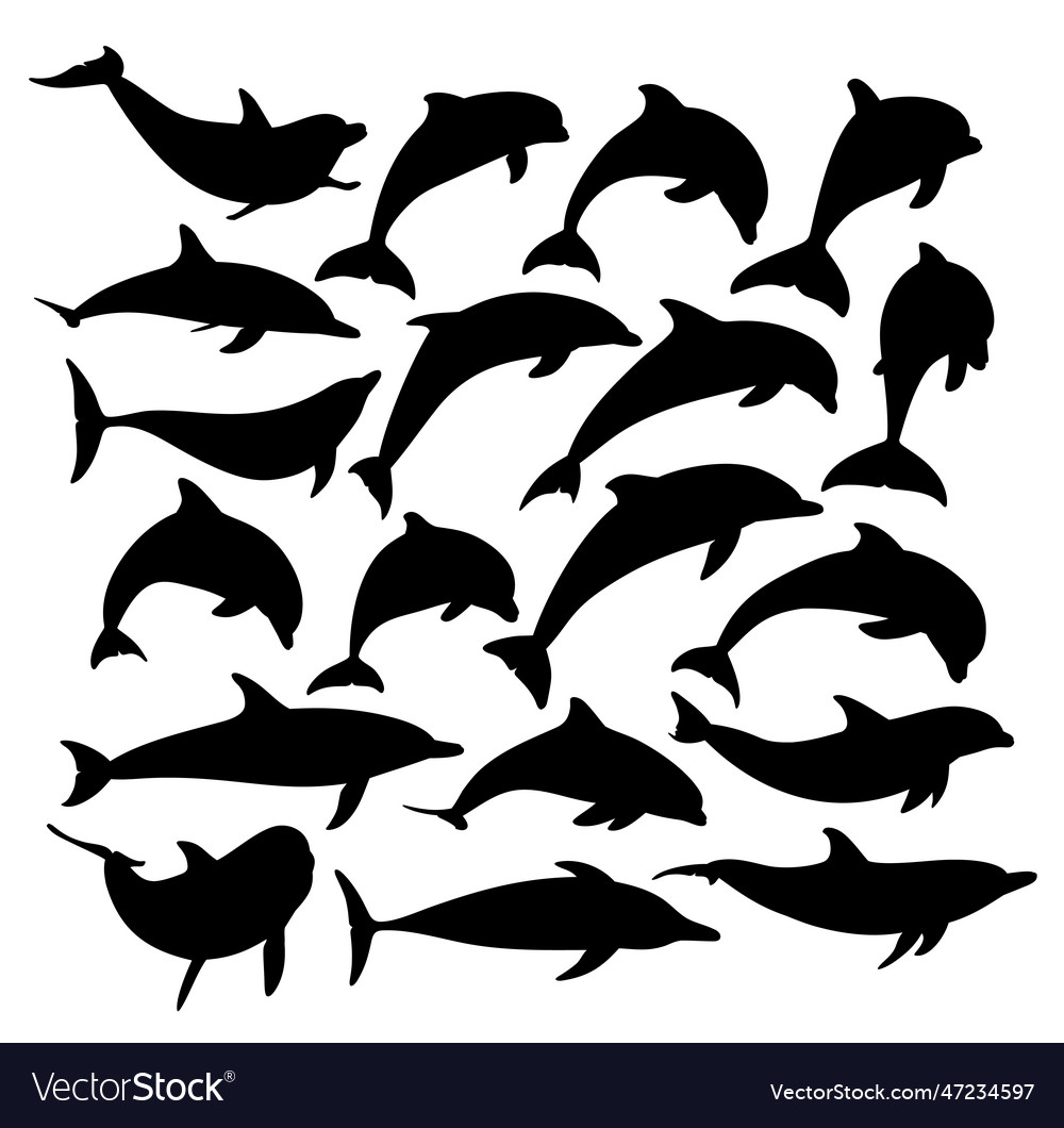 Set Dolphins Silhouettes Royalty Free Vector Image