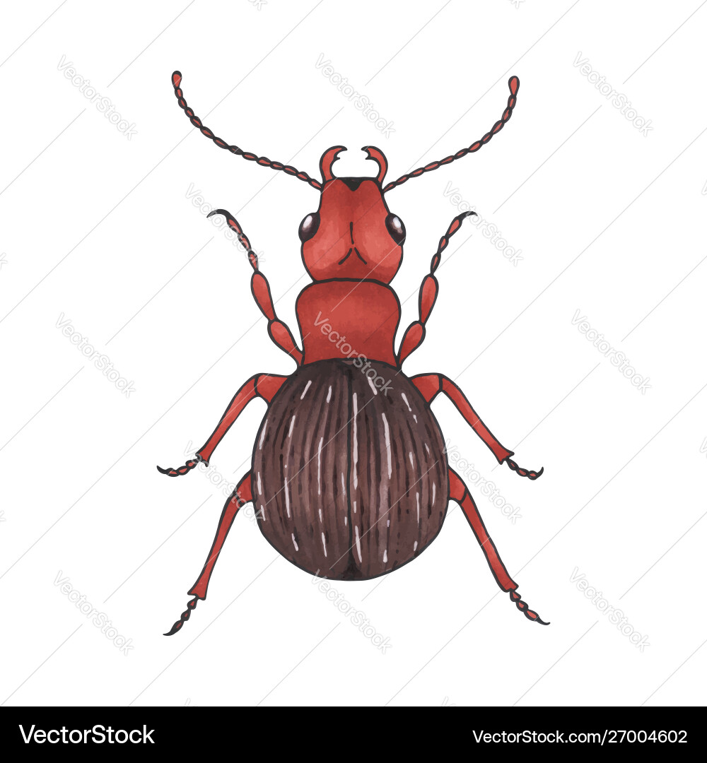 Brown Insect Design Bug brown hand drawn insect Royalty Free Vector Image