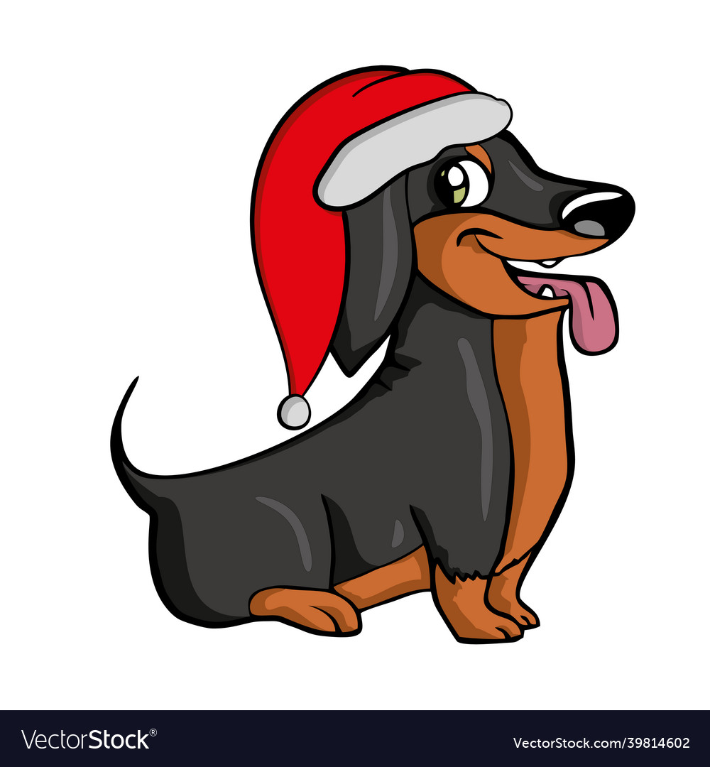 Dog in santas hat