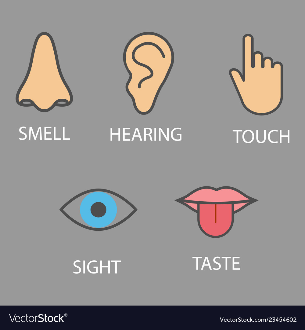 Human senses icon flat Royalty Free Vector Image