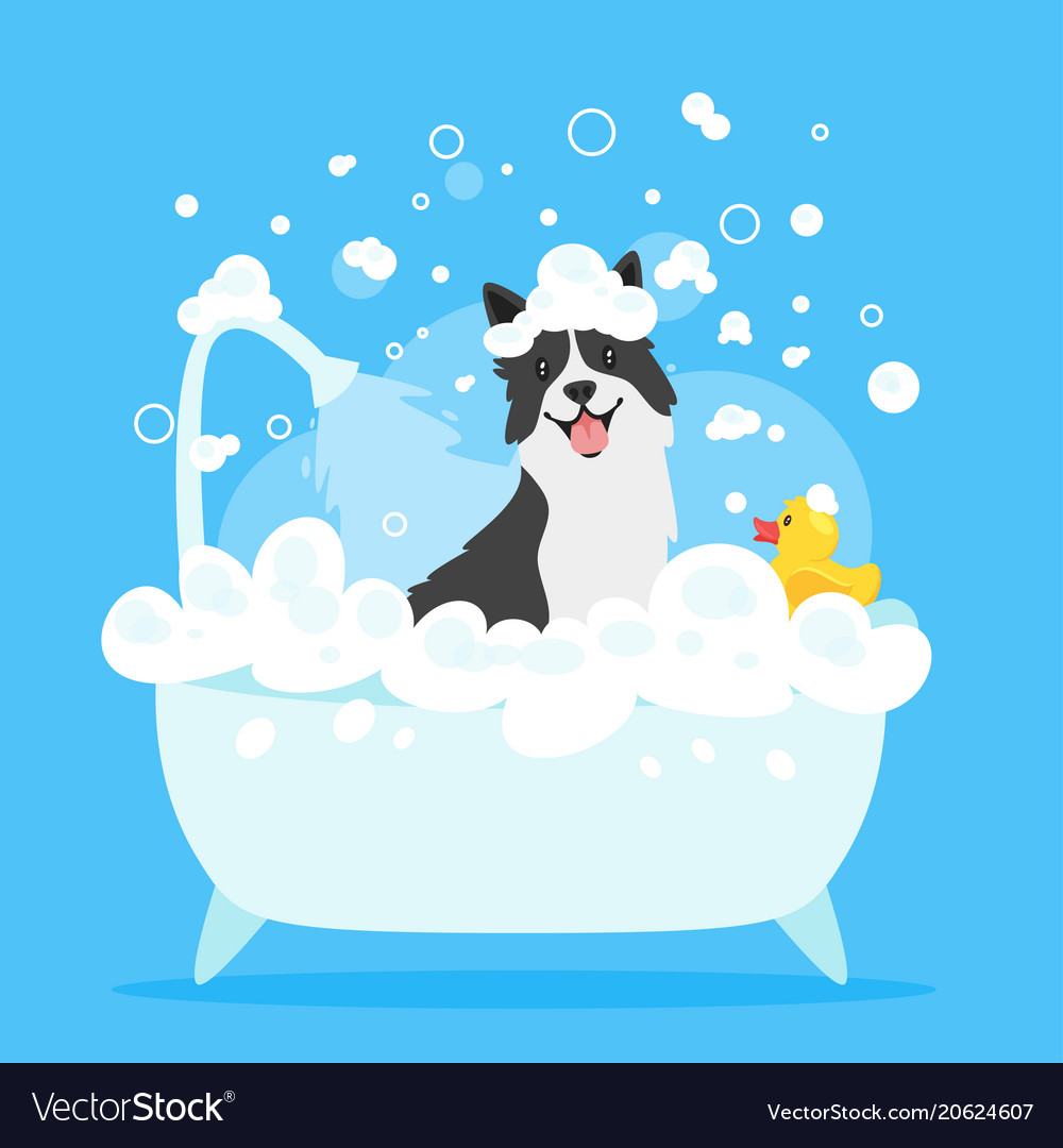 Dog taking a bath Royalty Free Vector Image - VectorStock